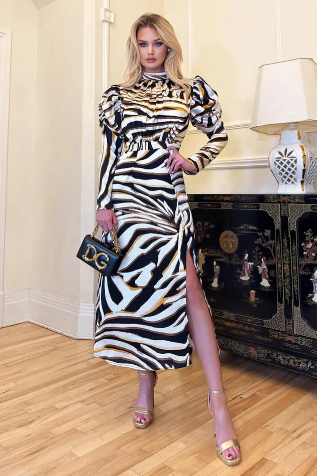 AX Paris Multi Print High Neck Long Puff Sleeve Midi Dress Dresses