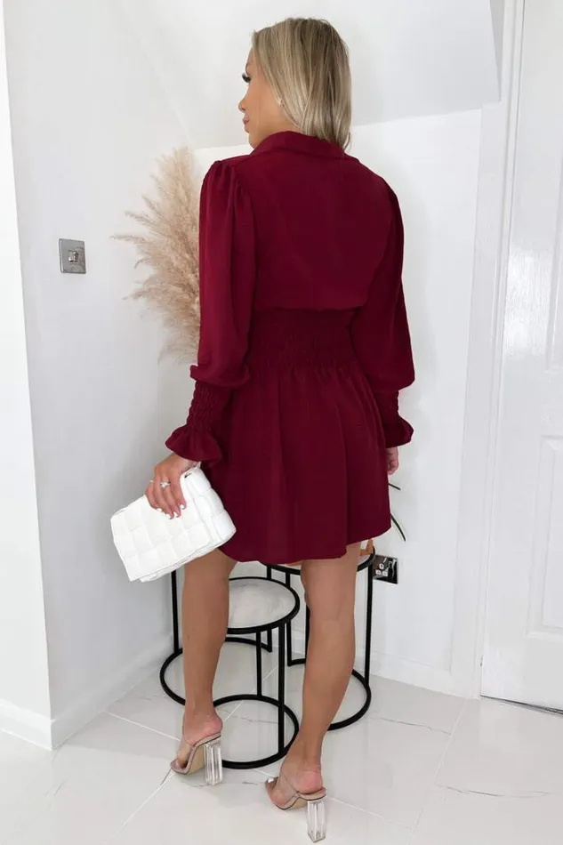 AX Paris Wine Shirred Waist Long Sleeve Shirt Dress Dresses