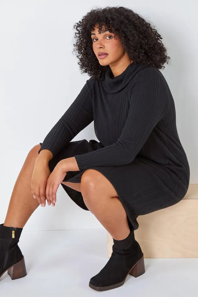 Black Curve Roll Neck Ribbed Stretch Dress Women Roman Dresses