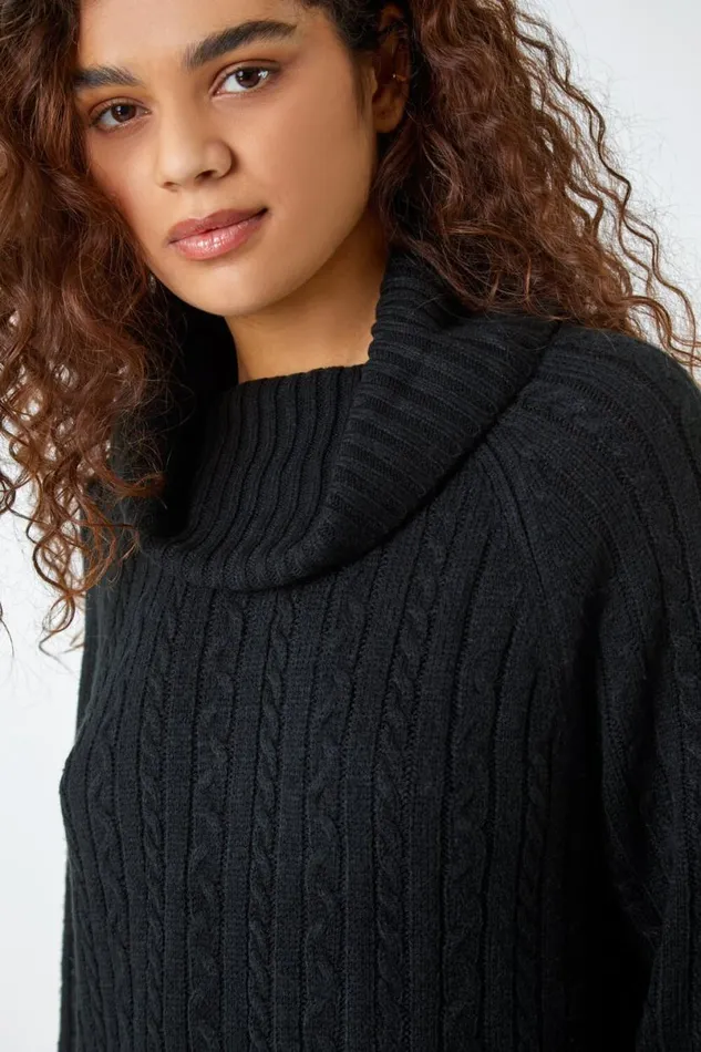 Black Roll Neck Knitted Jumper Dress Women Roman Dresses