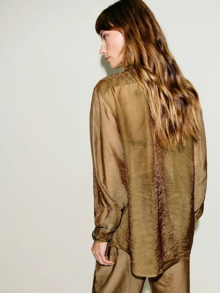 Clothing The Reformation Eli Oversized Sheer Shirt Sheer Brown