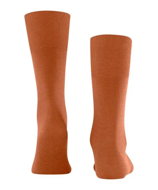 Men Airport Men Socks Tandoori FALKE Socks
