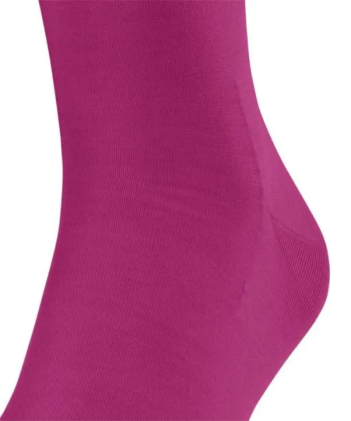 Men ClimaWool Men Kneehigh Socks Berry FALKE Knee High Socks