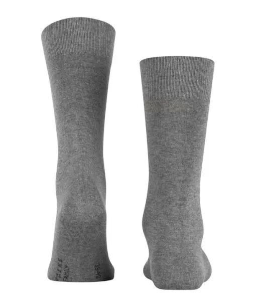 Men Family Men Socks Light Greymel FALKE Socks