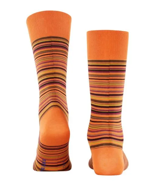 Men Microblock Men Socks Tandoori FALKE Socks