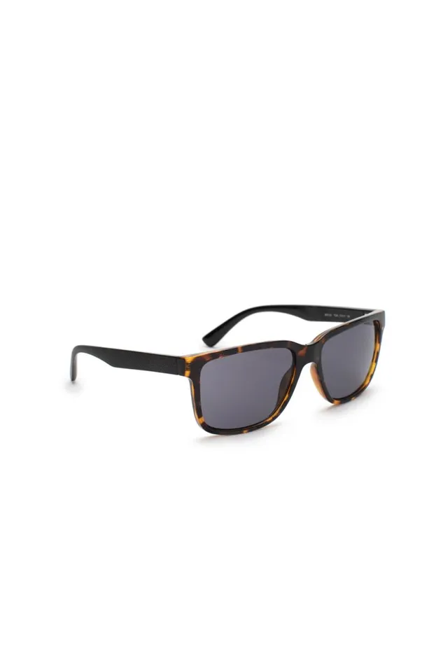 Men Tortoise Wayfarer Sunglasses Tortoise Buffalo David Bitton Sunglasses