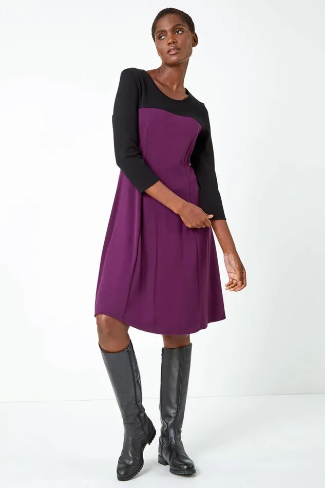 Purple Colour Block Skater Stretch Dress Women Roman Dresses
