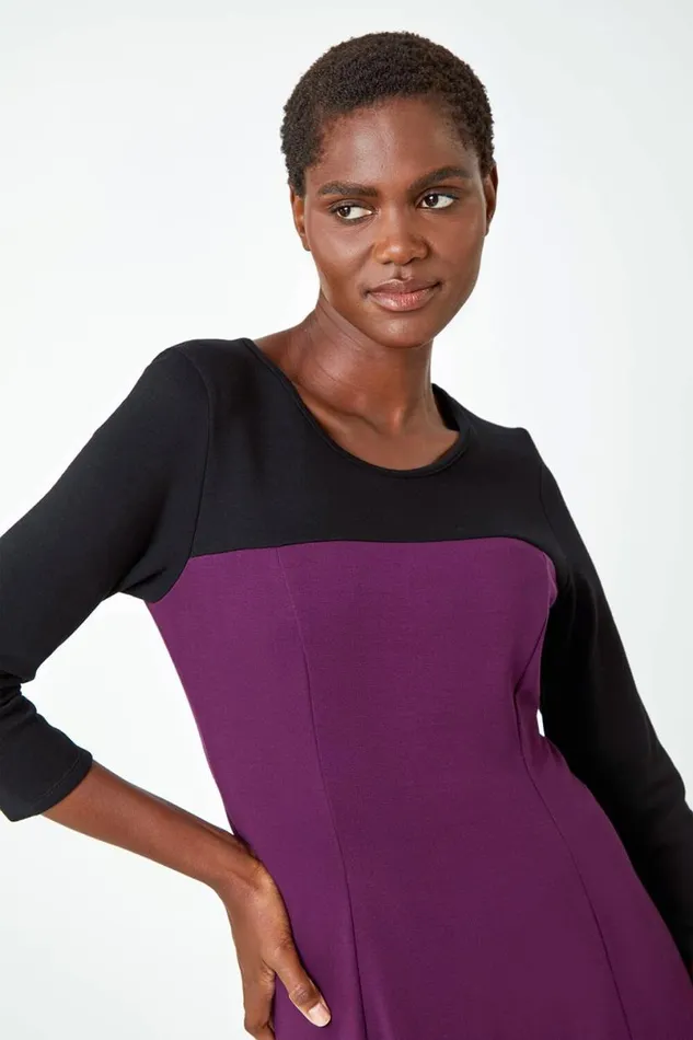 Purple Colour Block Skater Stretch Dress Women Roman Dresses