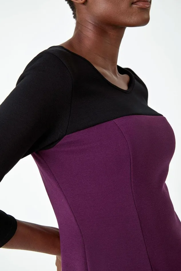 Purple Colour Block Skater Stretch Dress Women Roman Dresses