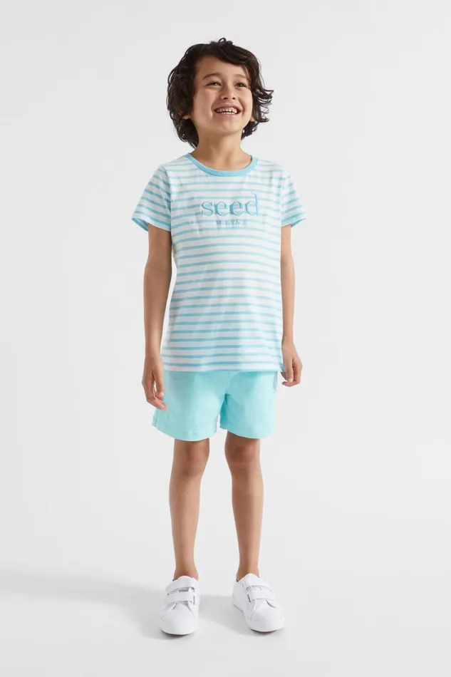 TShirts and Tops Boy Seed Heritage Core Logo Tee Ocean Blue Stripe