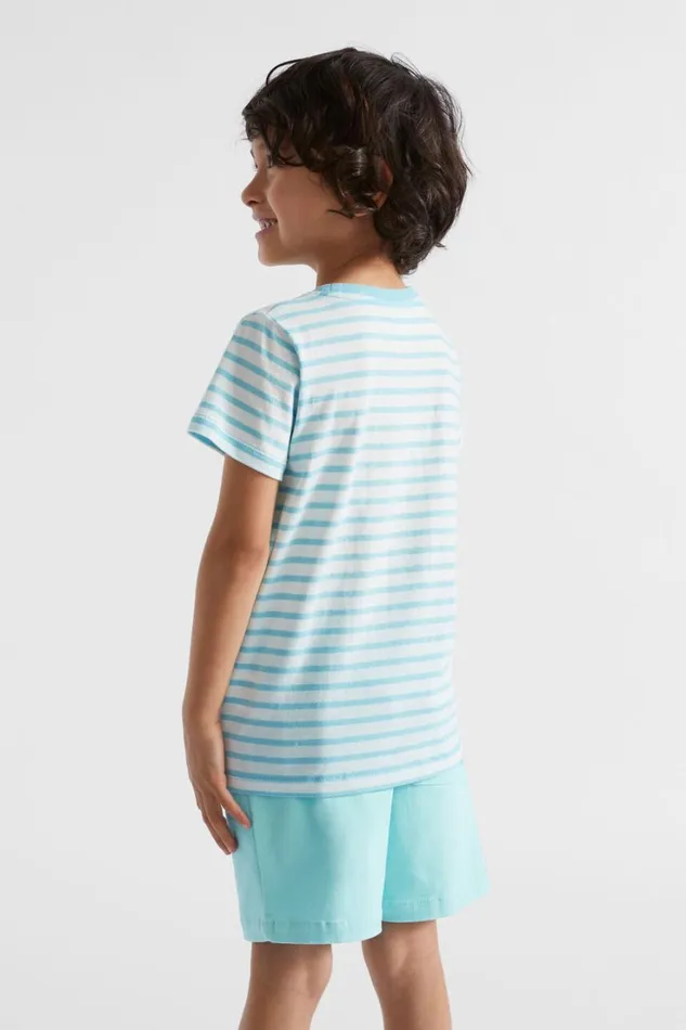 TShirts and Tops Boy Seed Heritage Core Logo Tee Ocean Blue Stripe