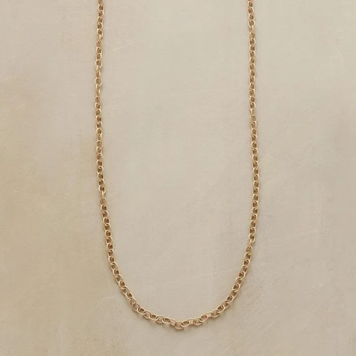 Women 20034 Gold Chain Charmstarter Necklace Sundance Catalog Necklaces