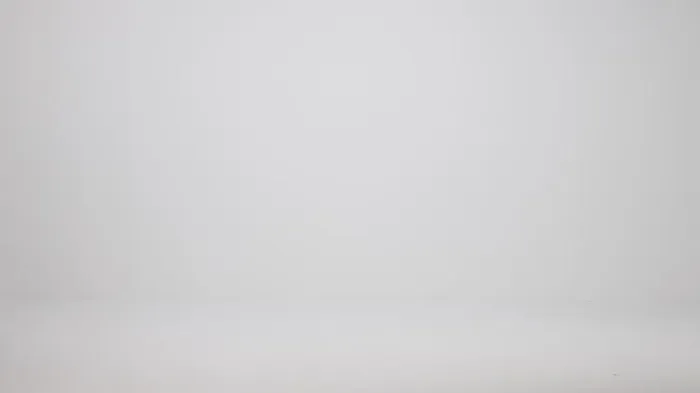 Women Brahmin Clutches Leanna Coconut Milk Melbourne