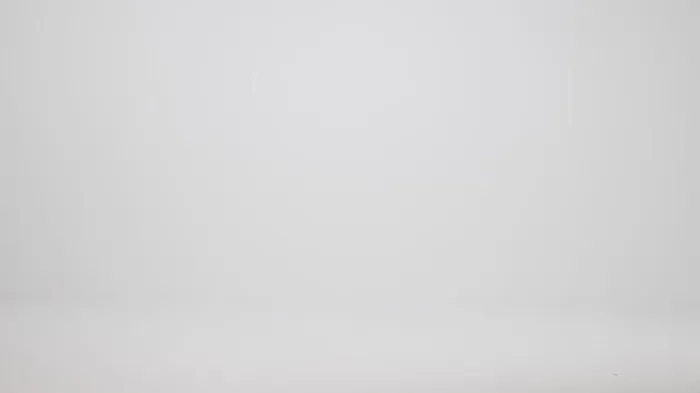 Women Brahmin Satchels Large Duxbury Satchel Contour Melbourne