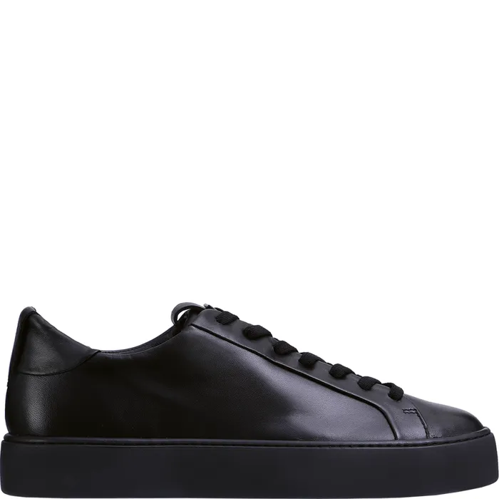 Women Carly Sneakers Black HGL Sneakers