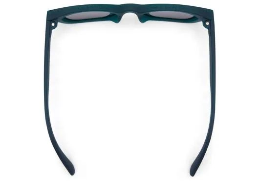 Women Paloma Matte Deep Forest Dark Grey TOMS Sunglasses